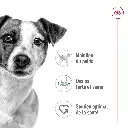 large_default (1).webp
