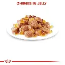 rc-fhn-wet-ageing12jelly-cv-eretailkit-3_.webp