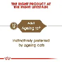 rc-fhn-wet-ageing12jelly-cv-eretailkit-1_.webp