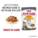Royal-Canin-Hair-and-skin-pochon-4.webp