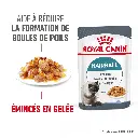 ROYAL-CANIN-PATEE-POUR-CHATS-HAIRBALL-85g-maroc.webp