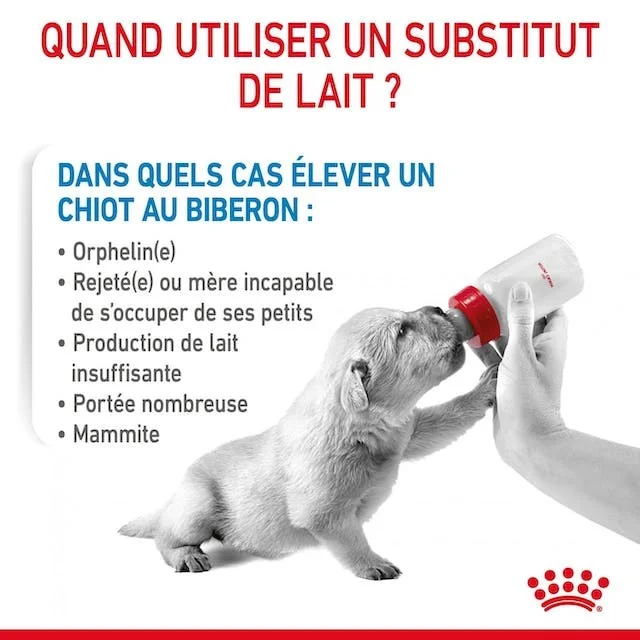 babydog-milk-fr-be-400g-1.webp
