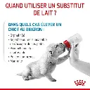 babydog-milk-fr-be-400g-1.webp
