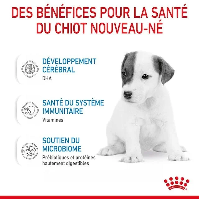 babydog-milk-fr-be-400-g.webp