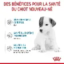 babydog-milk-fr-be-400-g.webp