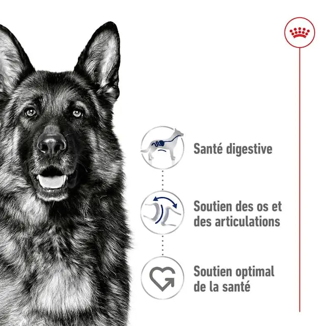 rc-shn-maxiadult-pork-cv-1-fr-fr-pdf.webp