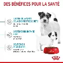 IMG-4278_c88dbd78-3123-409a-b1cb-8016b2ea1b8d.webp