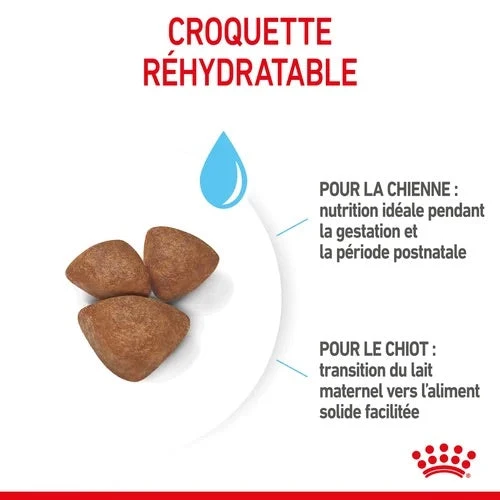 IMG-4279_f1ae1ab6-d049-4777-b890-00fabaf24d0d.webp