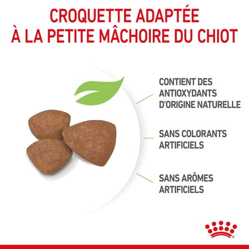 202204190735395285.webp