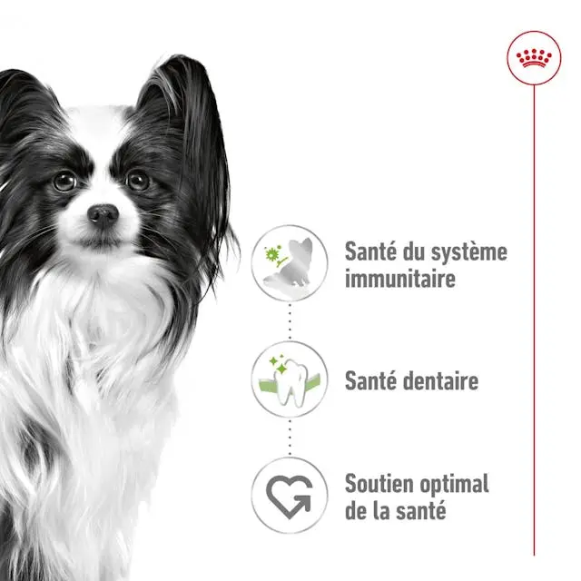 rc-shn-x-smalladult-cv-1-fr-fr-pdf.webp