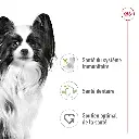 rc-shn-x-smalladult-cv-1-fr-fr-pdf.webp
