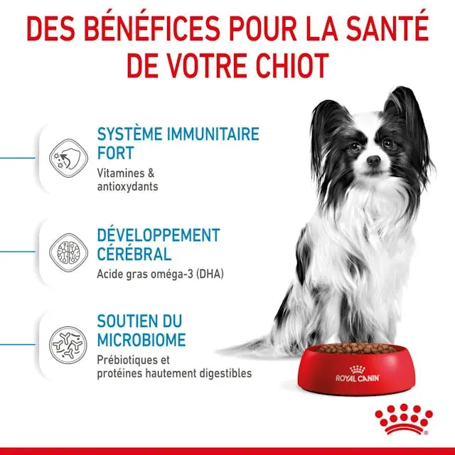 rc-spt-dry-xsmallpuppy-cv-3-fr-fr.webp