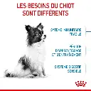 rc-spt-dry-xsmallpuppy-cv-2-fr-fr.webp