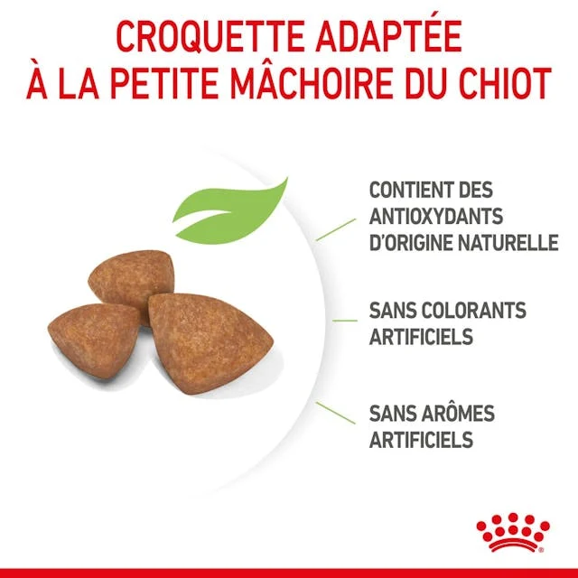 rc-spt-dry-xsmallpuppy-cv-4-fr-fr.webp