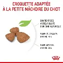 rc-spt-dry-xsmallpuppy-cv-4-fr-fr.webp