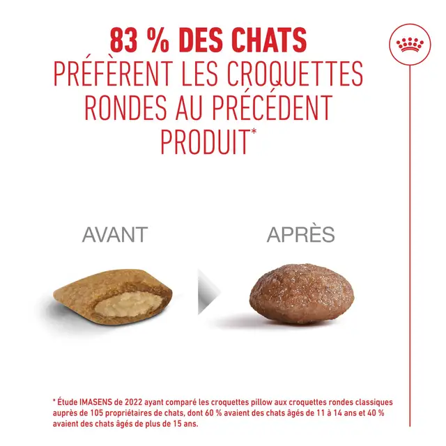 adb0076b-98c8-48f9-aee4-b36800ffcd18_DownloadAsJpg.webp