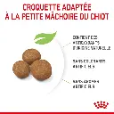 202204121421014709.webp