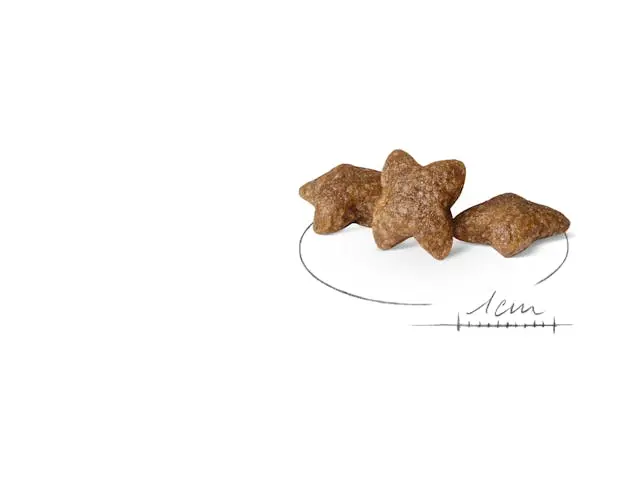 shn24-mini-ad-dry-kibbles-b1.webp