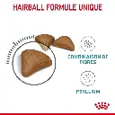 rc-fcn-hairballcare-cv-2-fr-fr.webp
