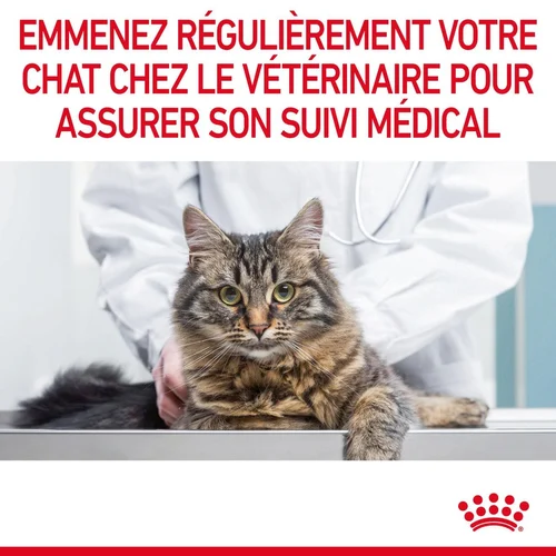 rc-fcn-digestivecare-cv-9-fr-fr.webp