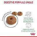 rc-fcn-digestivecare-cv-2-fr-fr.webp