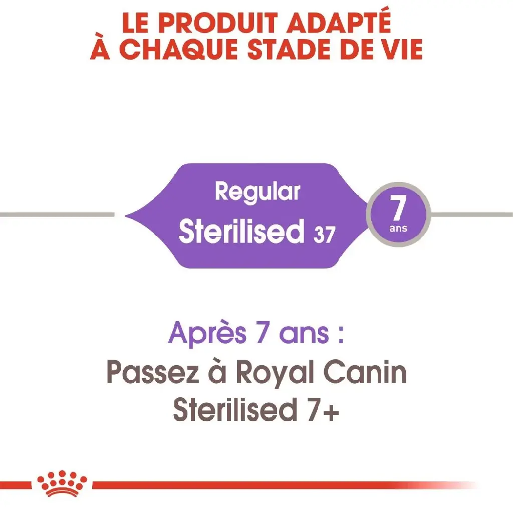IMG-0809_d6339c9c-3e87-44e1-a397-438a82a31f6a.webp