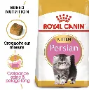 Capture-33.png.webp