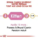 Capture-4-25.png.webp