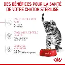 202204121316098724.webp