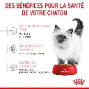 202204191209487254.webp