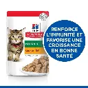 0052742211503-4.webp