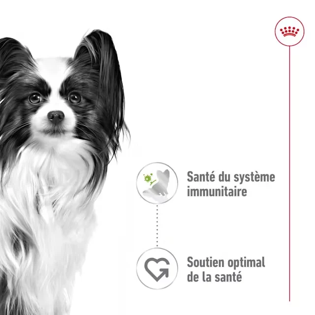 rc-shn-x-smalladult-pouch-morselsingravy-cv-1-fr-fr-pdf.webp