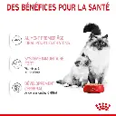 202204121331306843.webp