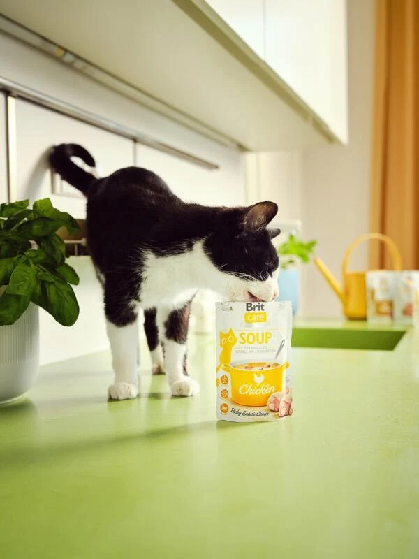 img0779_m_z5.webp