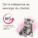 mpVrYK2i8nYirPrbNmbzwTsldtyUEqMW7WKvIxok.webp