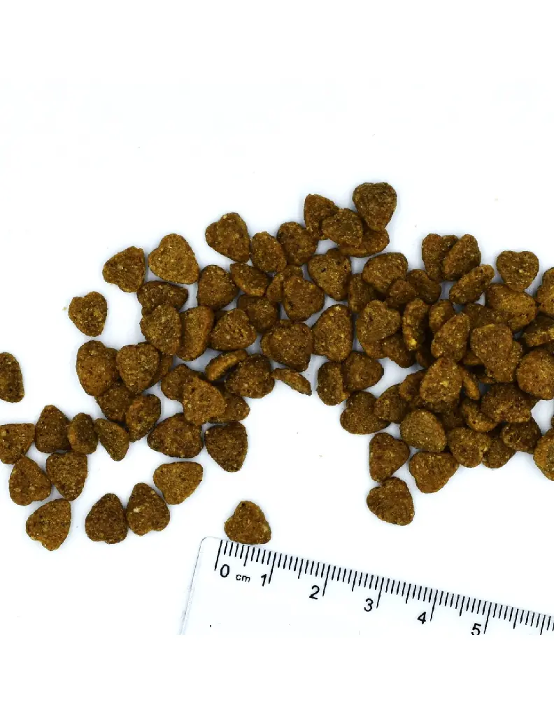 cat-indoor-chicken-400g.webp