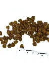 cat-indoor-chicken-400g.webp