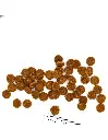 cat-adult-chicken-15kg.webp