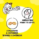 lcyxhfrhup8hth24c2k6.webp