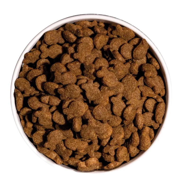 Ownat-classic-dog-fish-3.webp