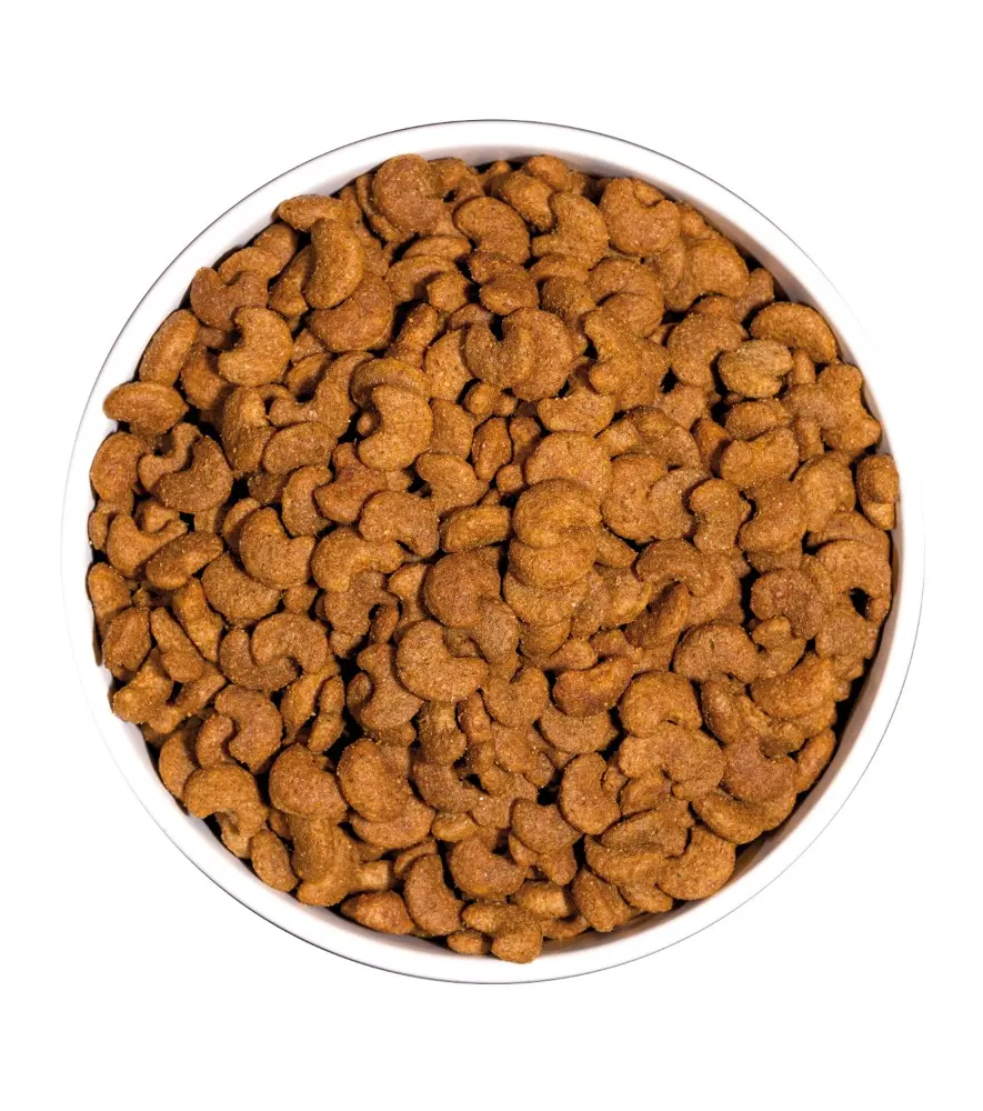 ow-classic-hairball-platoadl.webp