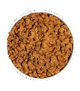 ow-classic-hairball-platoadl.webp