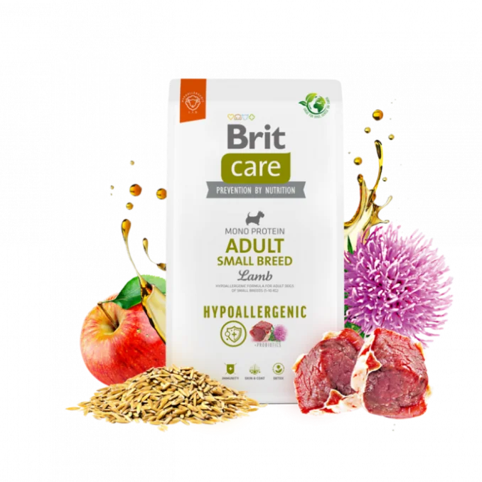 hypo-small-brit-2-e1726603104510.webp