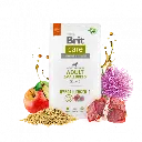 hypo-small-brit-2-e1726603104510.webp