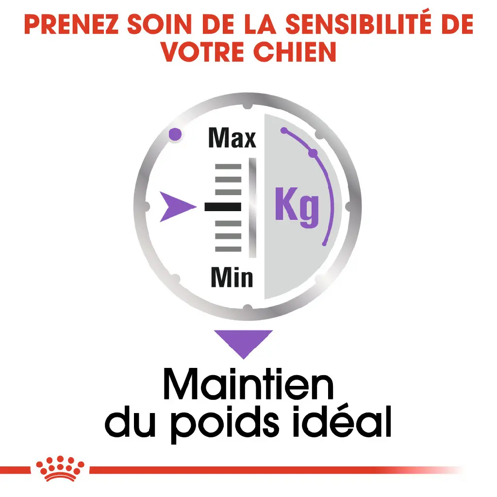 large_default (2).webp