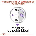 large_default (2).webp