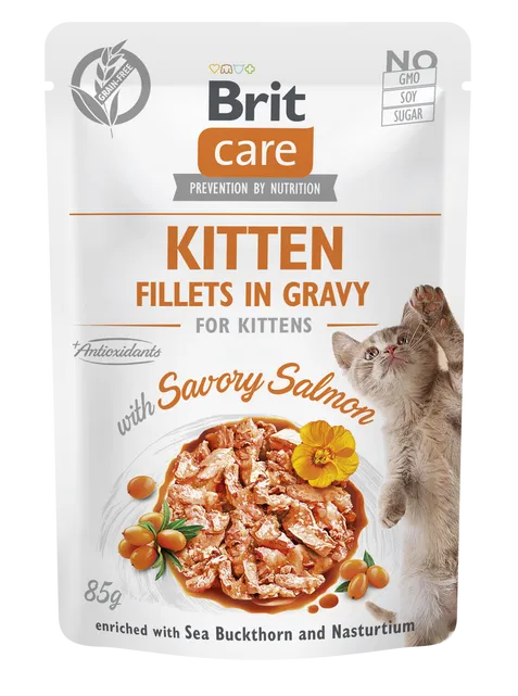 BRIT CARE CAT Chat Fillets in Gravy with Savory Salmon Kitten 85 g