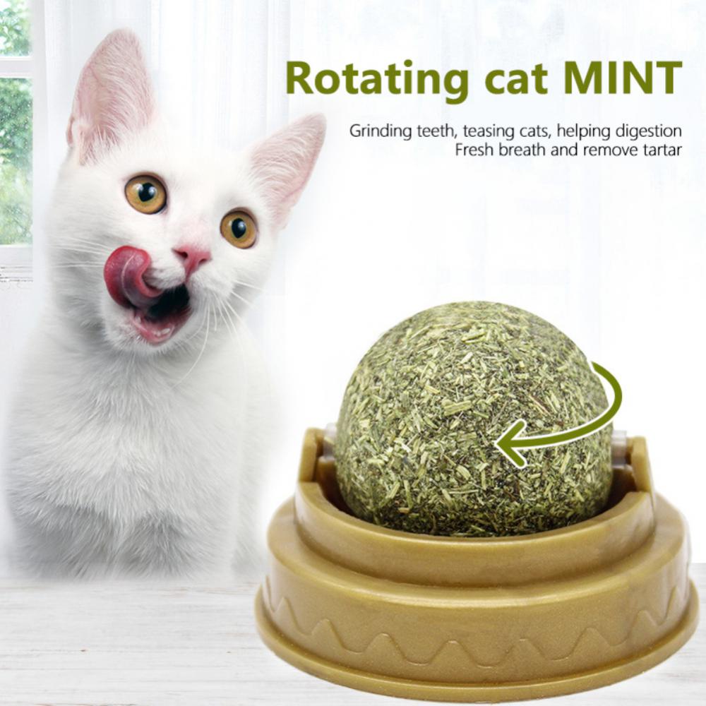 Catnip cat mint toy ball