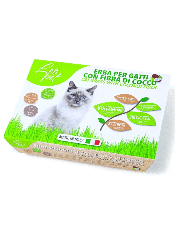 Herbe à chat avec fibre de coco
