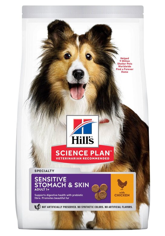 Hill’s Science Plan Aliment Pour Chien Adulte De Taille Medium Et Grande Sensitive Stomach and Skin Au Poulet (2.5kg | 14kg)